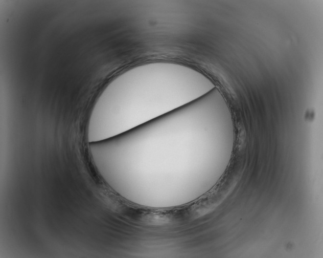 X0000103220498200808280929