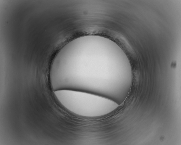 X0000103220499200808280929