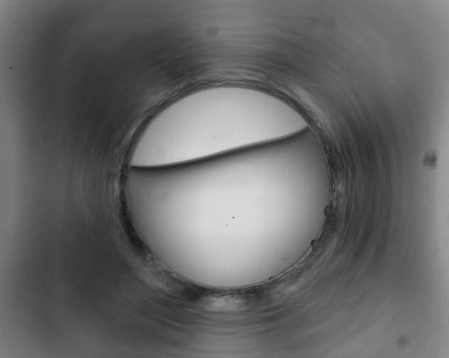 X0000103220500200808280929