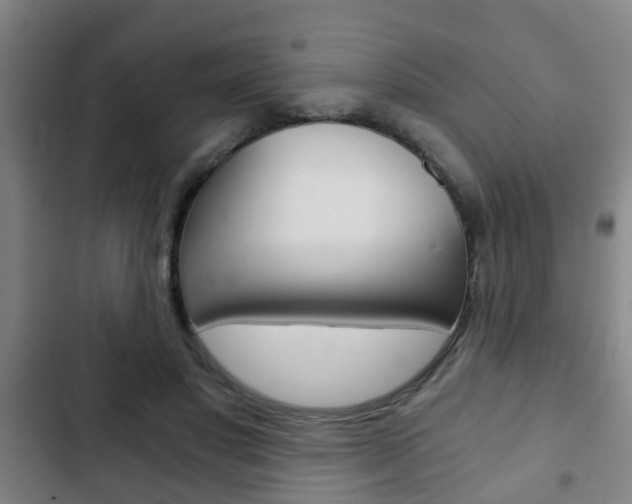 X0000103220501200808280929