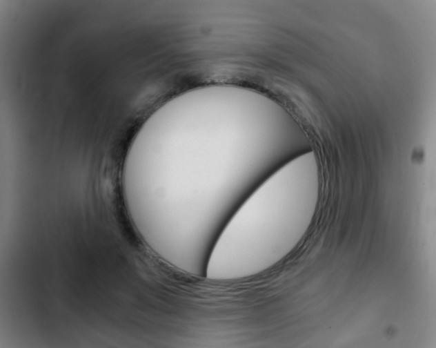 X0000103220503200808280929