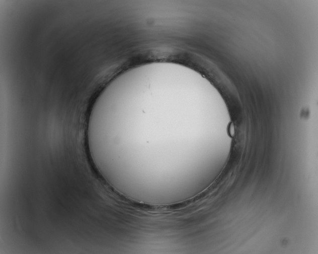 X0000103220505200808280929