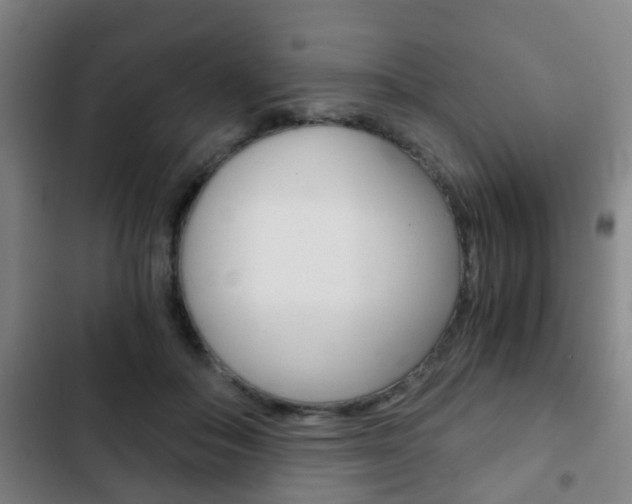 X0000103220506200808280929