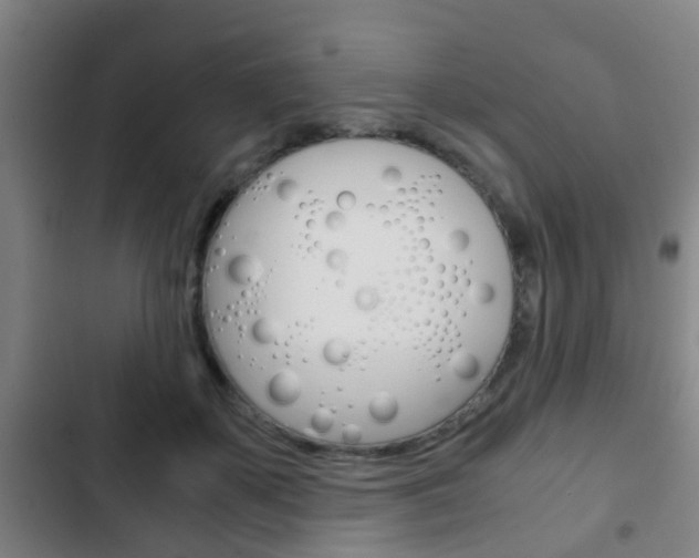 X0000103220507200808280929