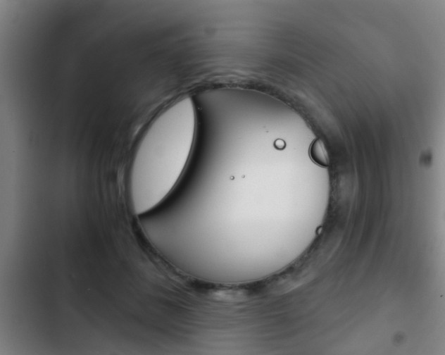 X0000103220508200808280929