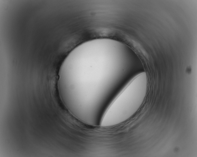X0000103220509200808280929