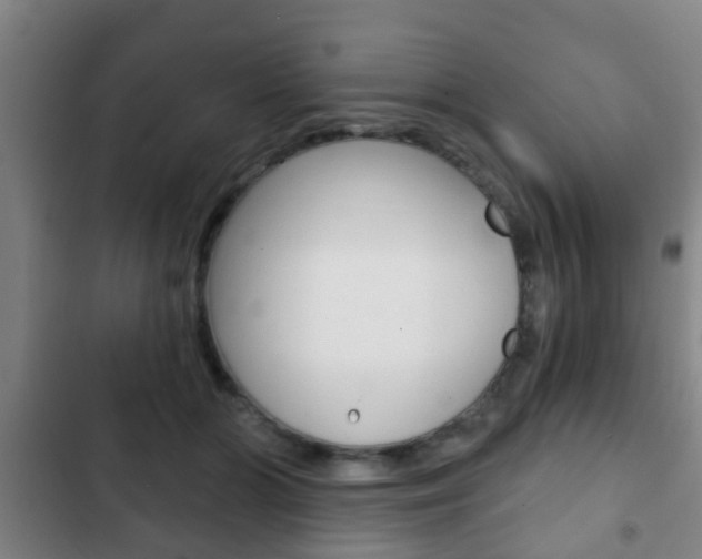 X0000103220510200808280929