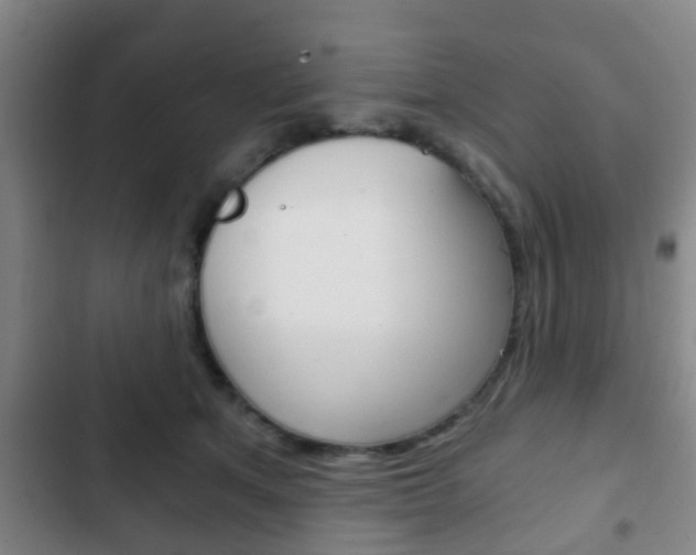 X0000103220513200808280929