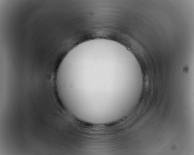 X0000103220514200808280929