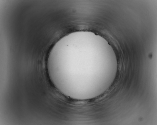 X0000103220516200808280929