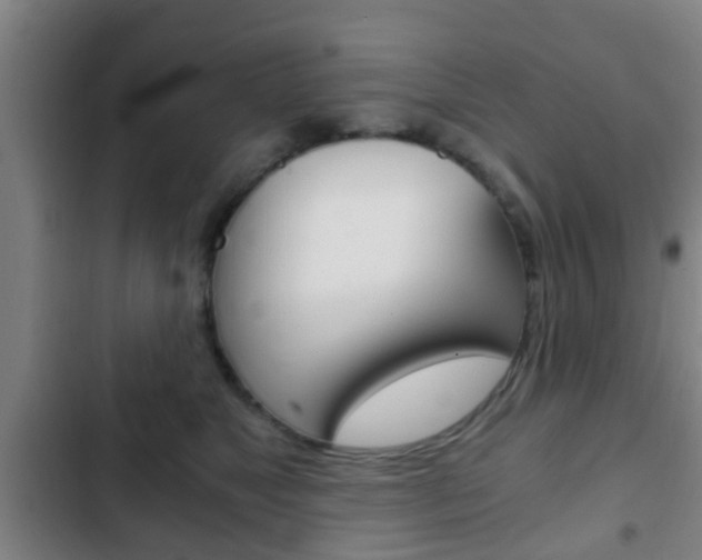 X0000103220517200808280929