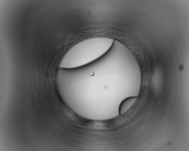 X0000103220518200808280929