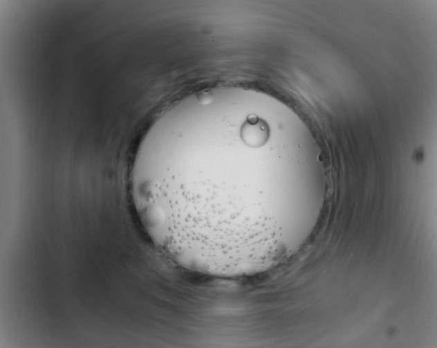 X0000103220519200808280929