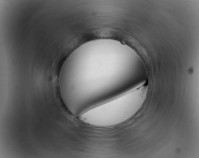 X0000103220521200808280929