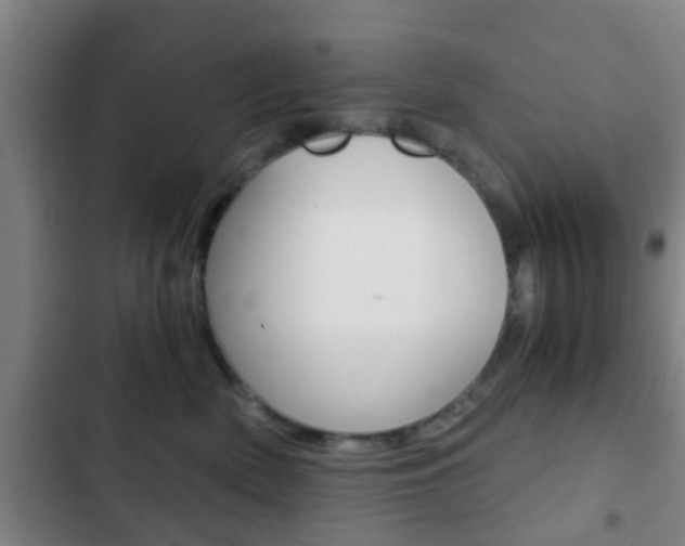 X0000103220522200808280929