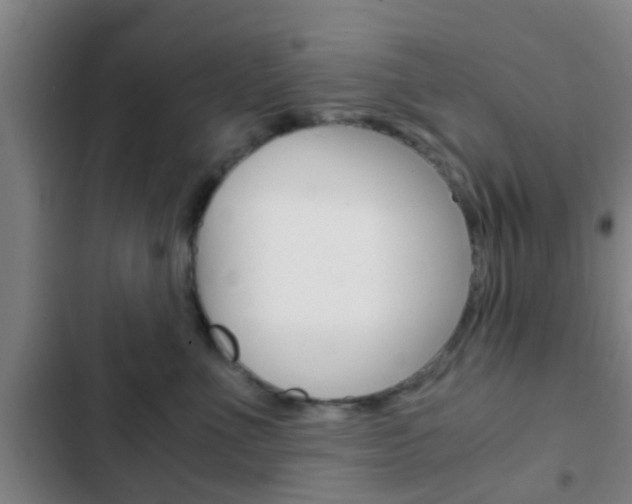 X0000103220523200808280929