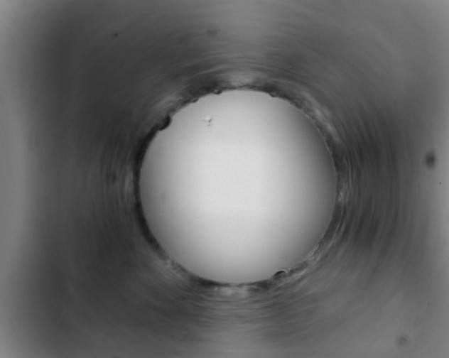X0000103220524200808280929