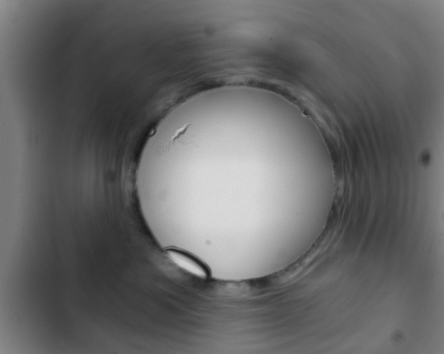 X0000103220525200808280929