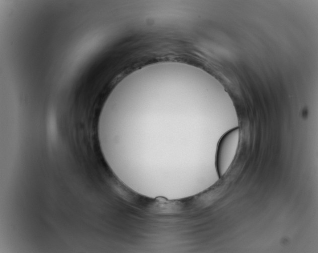 X0000103220526200808280929