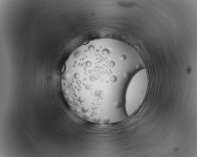 X0000103220527200808280929
