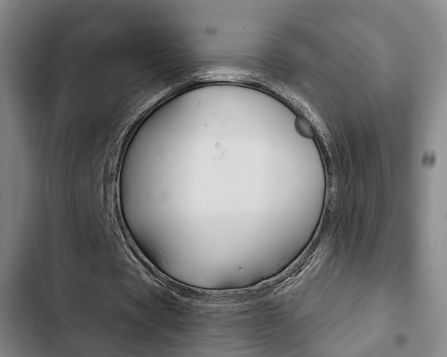 X0000103220529200808280928