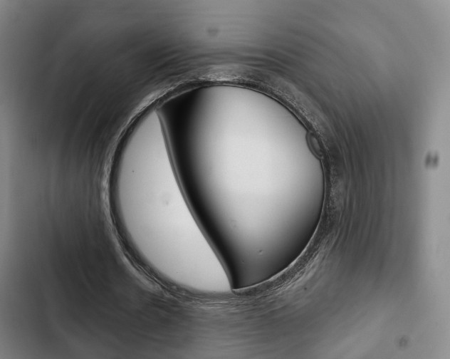 X0000103220530200808280928