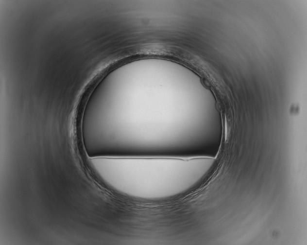 X0000103220531200808280928