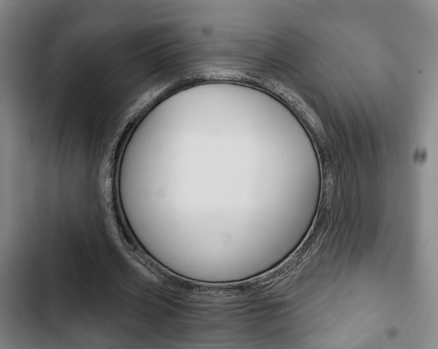 X0000103220533200808280928