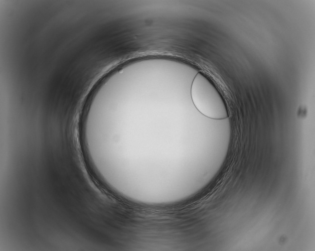 X0000103220534200808280928