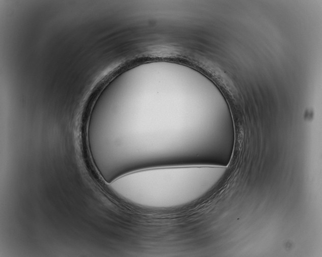 X0000103220535200808280928