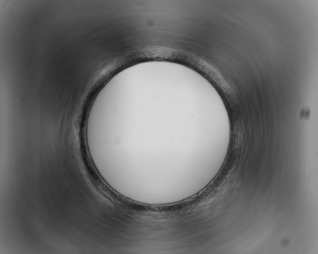 X0000103220538200808280928