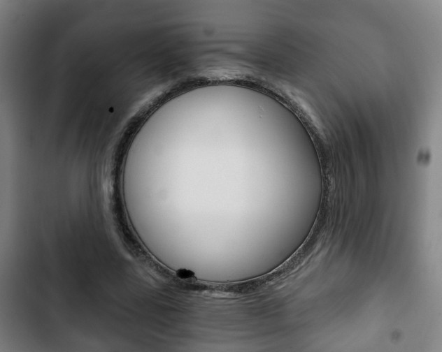 X0000103220539200808280928