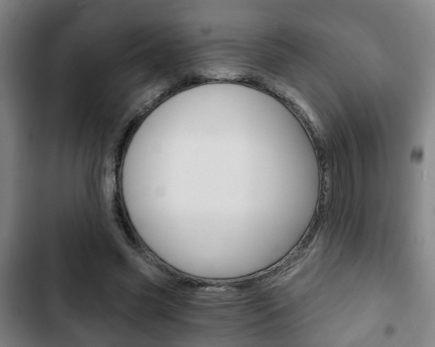 X0000103220541200808280928