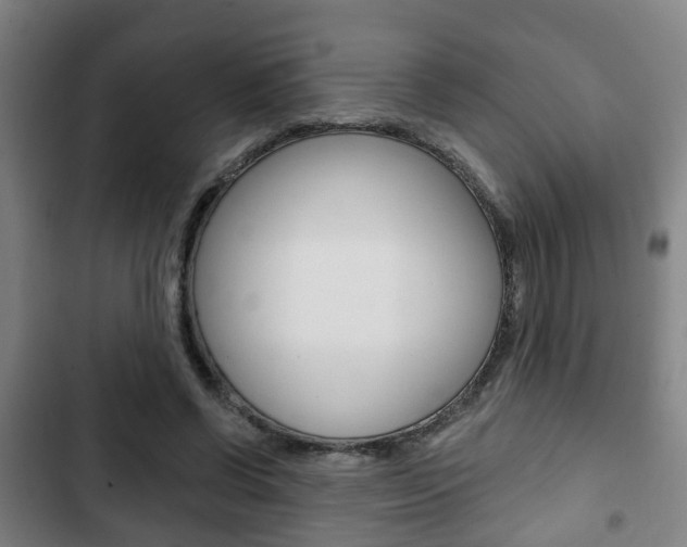 X0000103220542200808280928