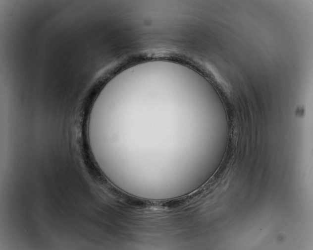 X0000103220543200808280928