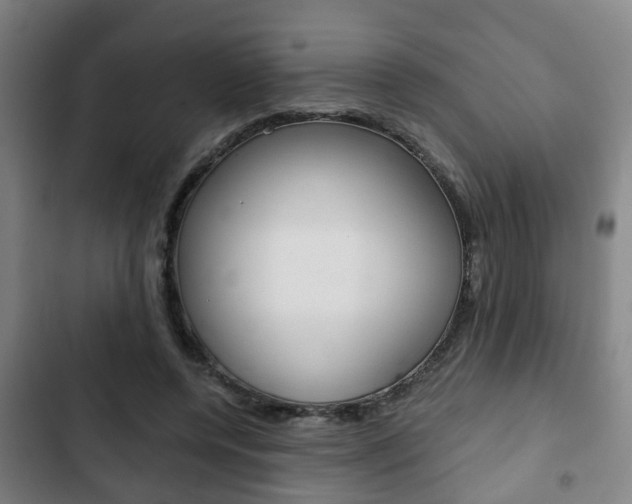 X0000103220544200808280928