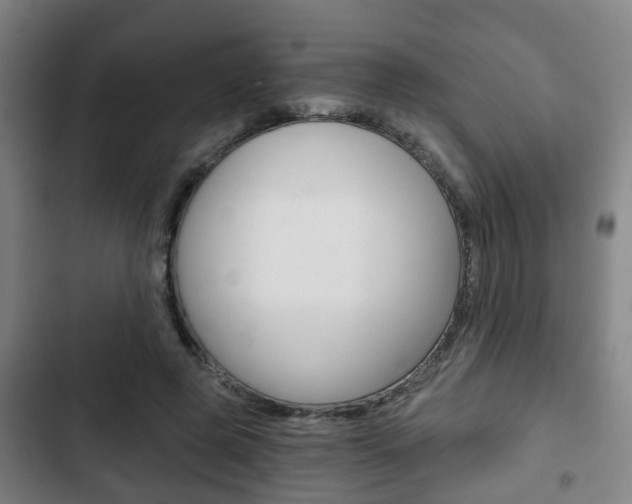 X0000103220545200808280928