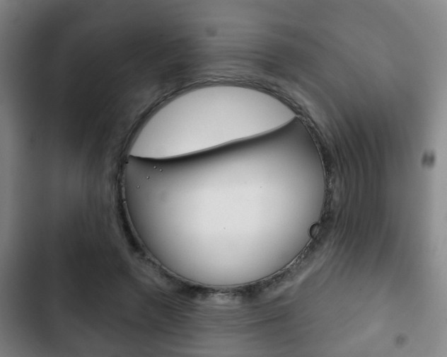 X0000103220546200808280928