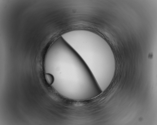 X0000103220547200808280928