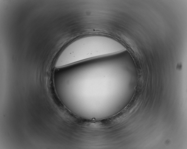 X0000103220548200808280928