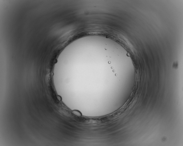 X0000103220549200808280928