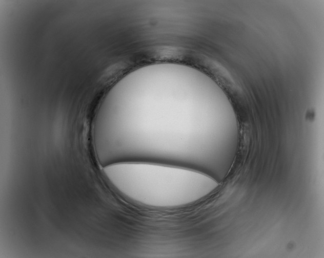 X0000103220550200808280928