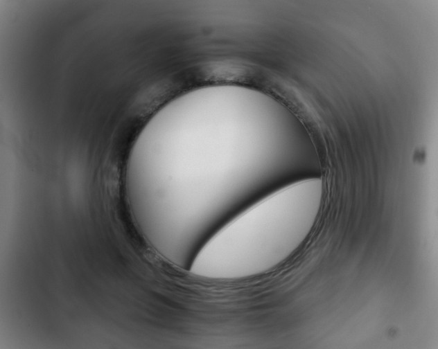 X0000103220551200808280929