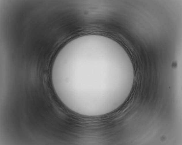 X0000103220552200808280929