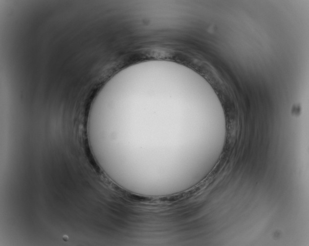 X0000103220553200808280929