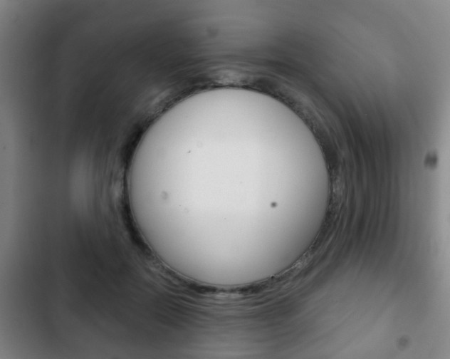 X0000103220554200808280929