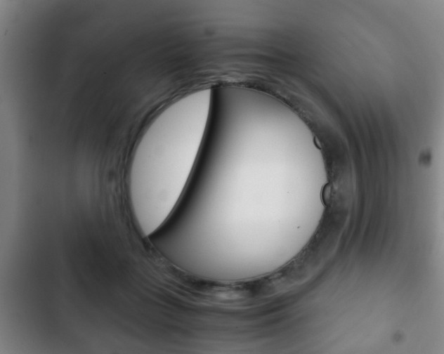 X0000103220555200808280929