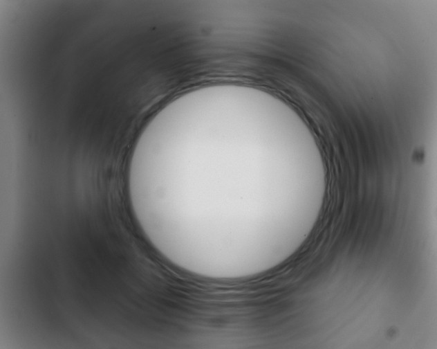 X0000103220556200808280929