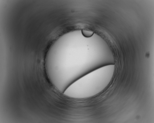 X0000103220557200808280929