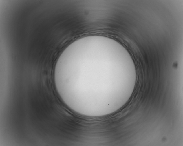 X0000103220558200808280929